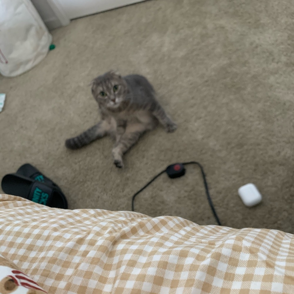 Meet your Posher, Hong